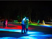 Свето-музыкальное ледовое шоу в парке Гагарина